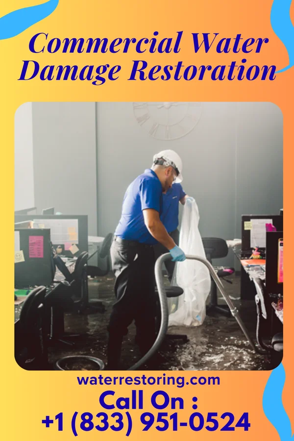 Commercial Water Damage Restoration in Lismore, MN