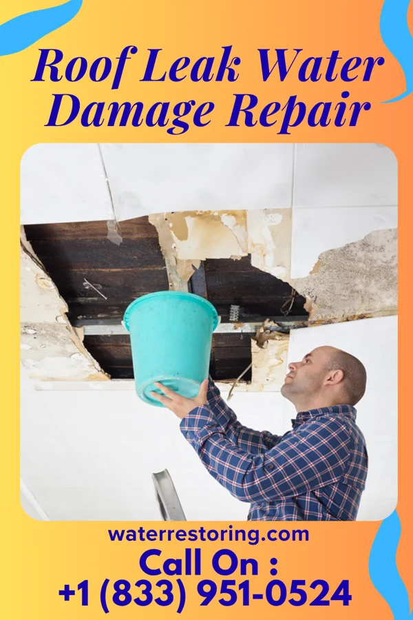 Roof Leak Water Damage Repair in Lismore, MN