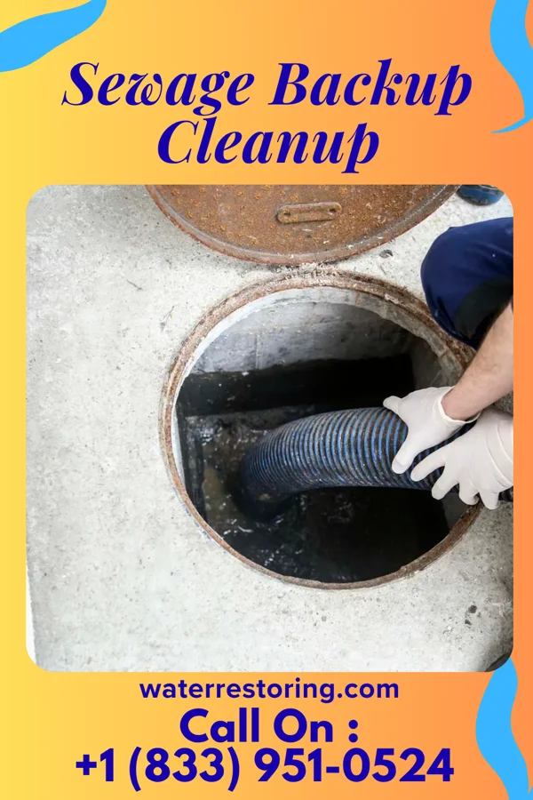 Sewage Backup Cleanup in Lismore, MN